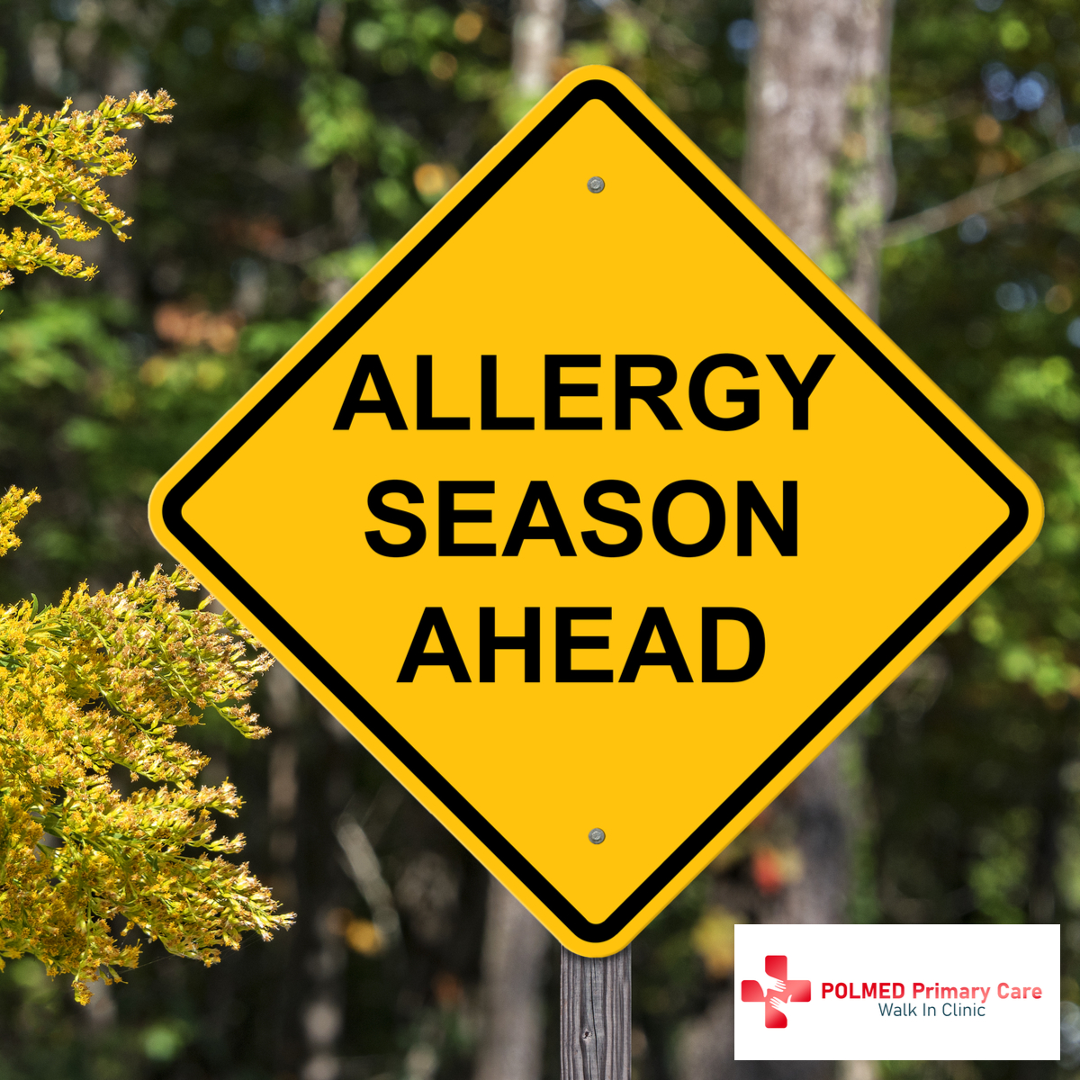 How Do You Get Tested for Allergies and What Can You Do to Make the Process Easier?