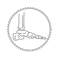 Foot and Heel Conditions