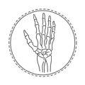 Tendon and Ligament Injuries